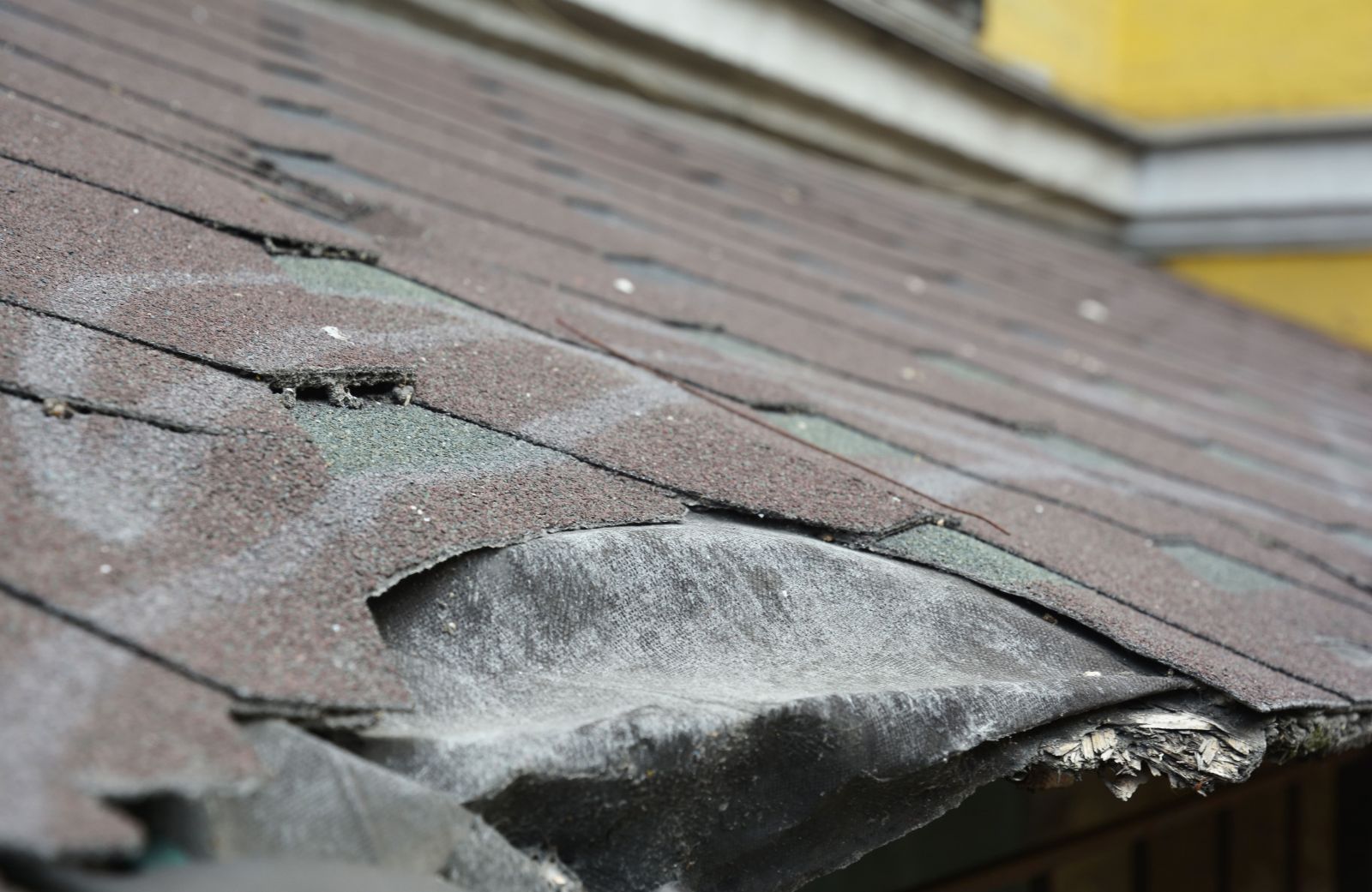 Quality Roofing By Sérgio  Images