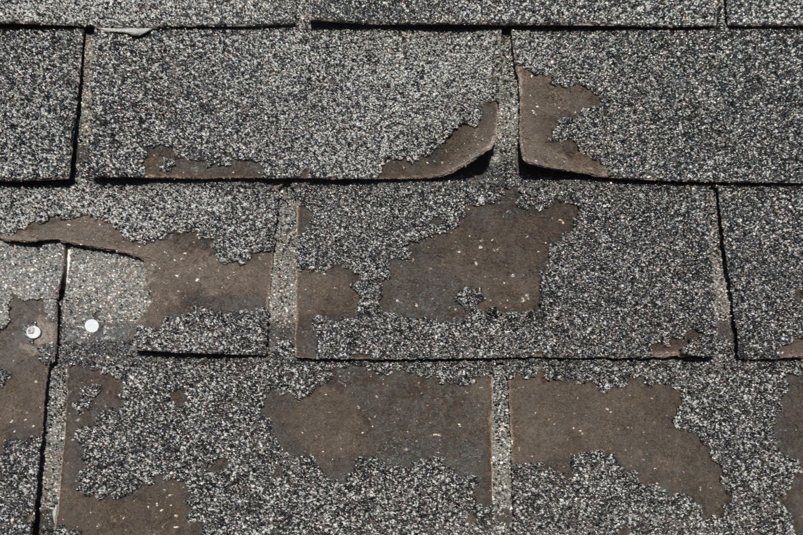 Quality Roofing By Sérgio  Images